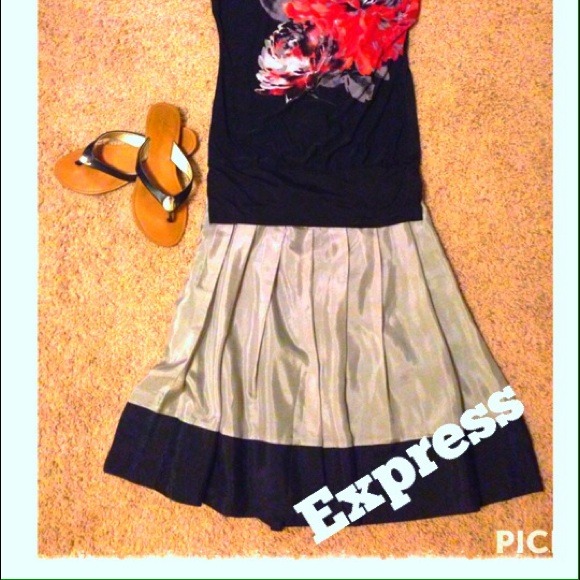 Express Skirt NWT