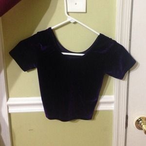 Purple velvet crop top
