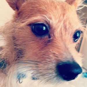 Bundle for @aharry777