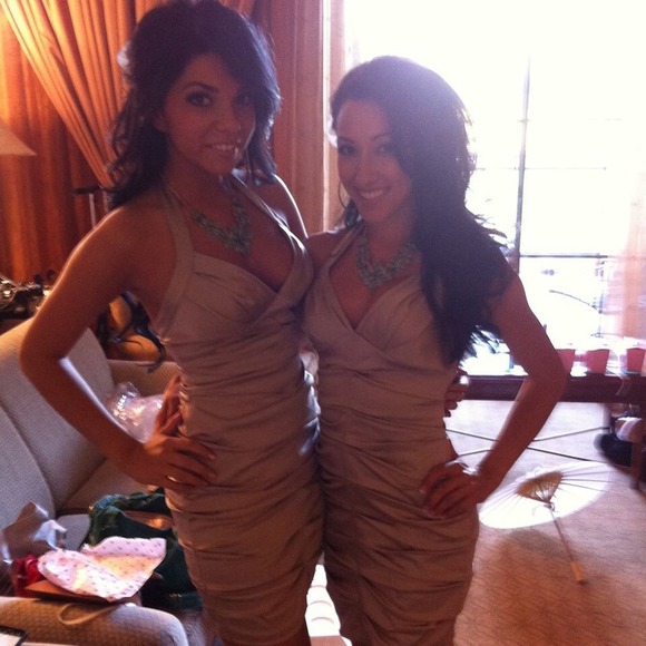 BCBG Champagne Satin Dress
