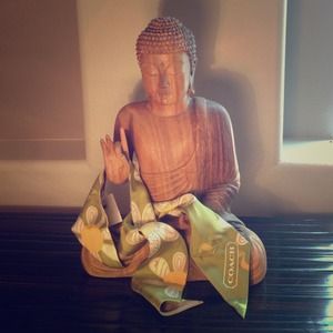 COACH Pretty Floral Ponytail Scarf NWT