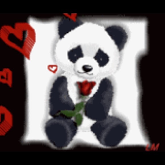 NO PAYPAL - NO TRADES - Picture 4 of 4