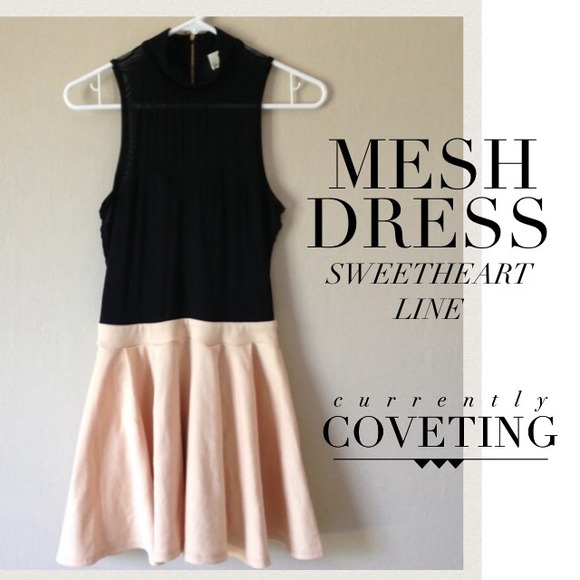 Mesh Skater Dress