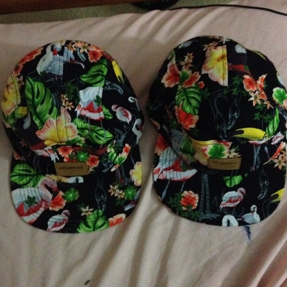 Akomplice 5-Panel (2 in stock!)