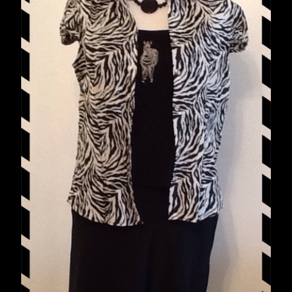 NWOT Safari Zebra Separate Set - Picture 1 of 1