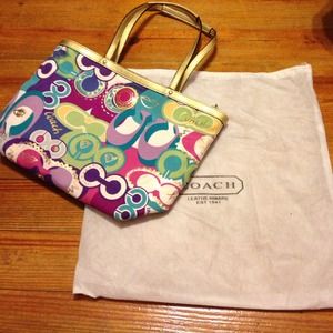 Authentic bag and dust cover