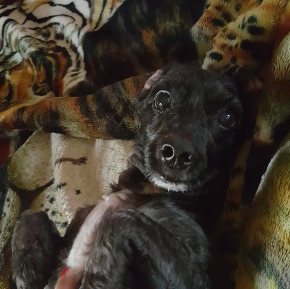 Greetings! - Picture 5 of 6