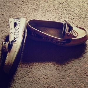 Leopard Angelfish Sperrys