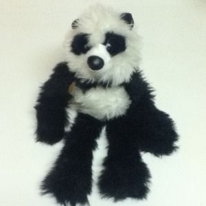 Cute Panda Bear