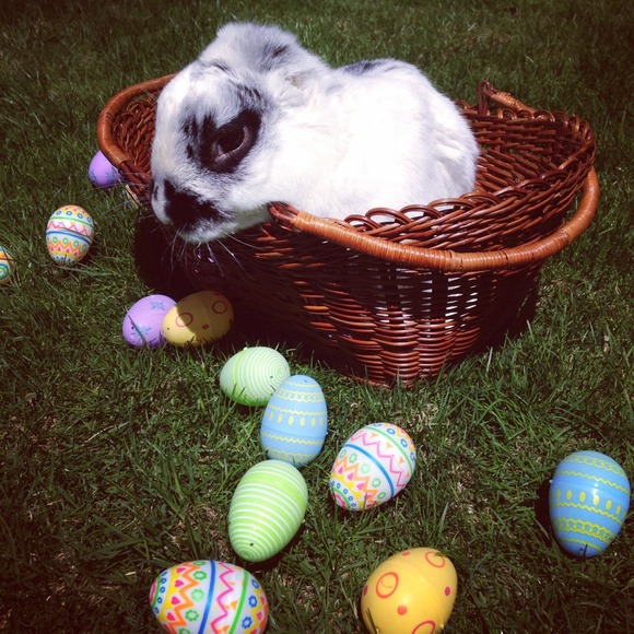 HOPPY EASTER!!