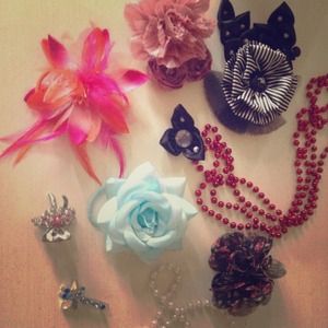 Hair and jewelry accessories