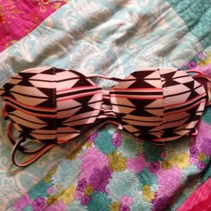 Acacia La Perouse top in native