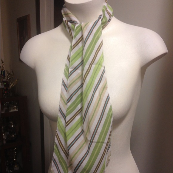 NWOT Stunning Striped Scarf