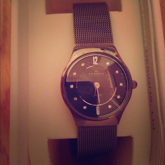 Chocolate Skagen Titanium Watch