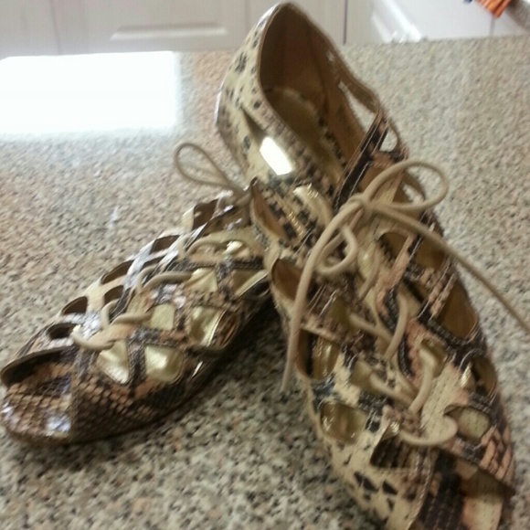 Hold until 5/16/14 Brown & Beige Cute Sandals