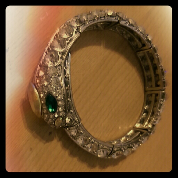 Snake Bracelet