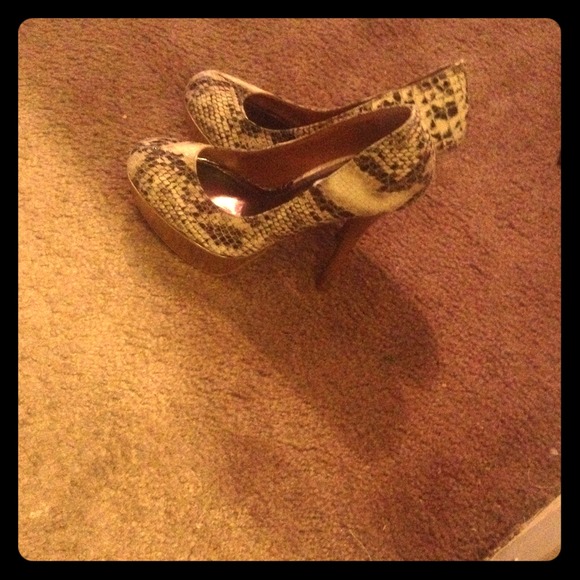 Steve maddens