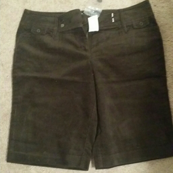 Ann Taylor Bermuda Shorts