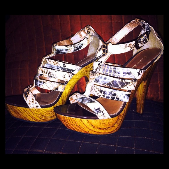 Seducing Snake Pumps