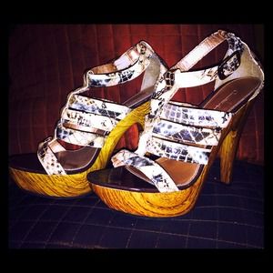 Seducing Snake Pumps