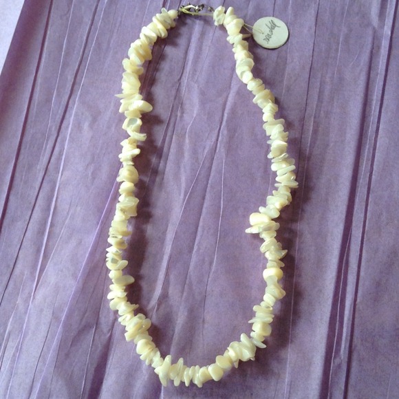 Shell Necklace - Picture 3 of 3