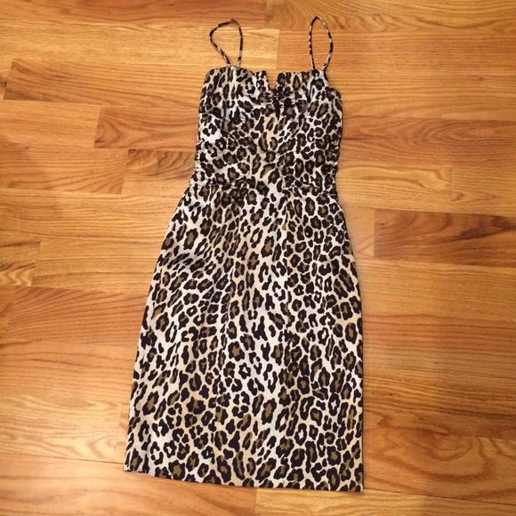 Cache leopard dress