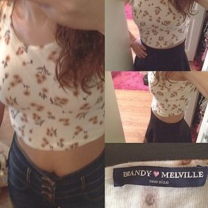 Brandy Melville Floral Crop Top