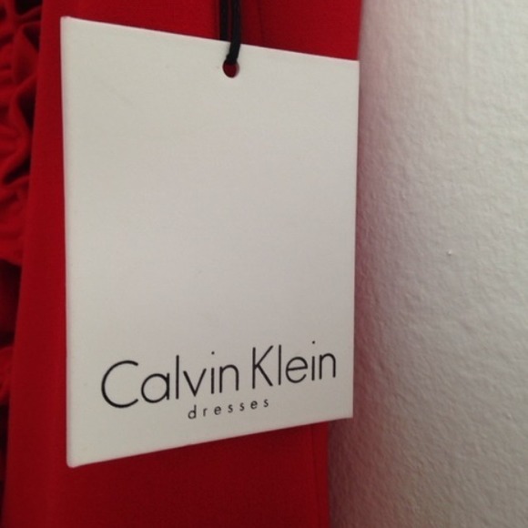 Calvin Klein Dress - Picture 4 of 4