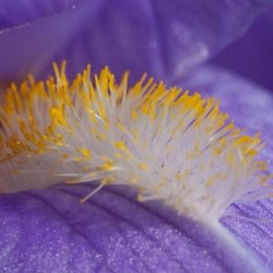 Reserved Bundle For @Silky1