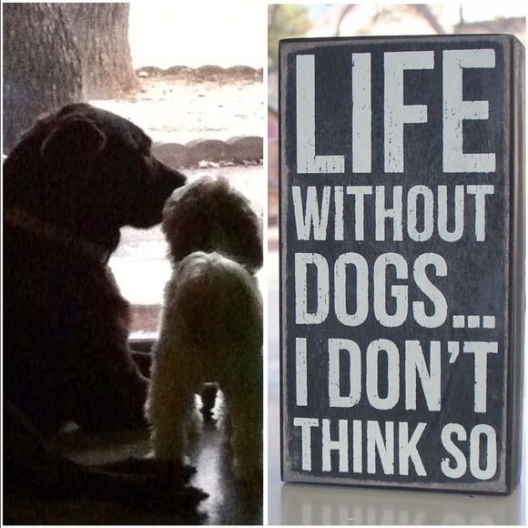 I'm • A • Dog • Mom 🐶🐾 - Picture 6 of 6