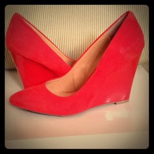 Red wedge pump