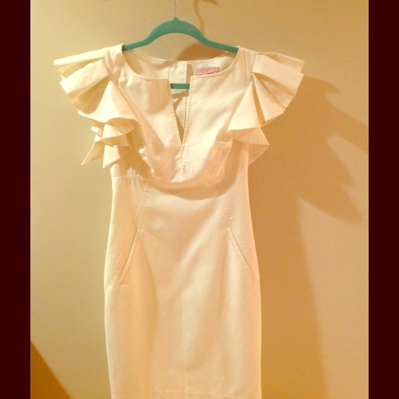 ⛔️SOLD Ted Baker white sleeve dress size 4