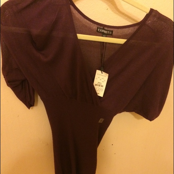Express Purple/burgundy shirt