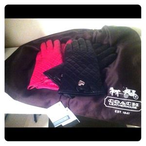 🌸BUNDLE! 2 pairs coach gloves and coach silk sack