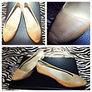 Pointed Flats shoes