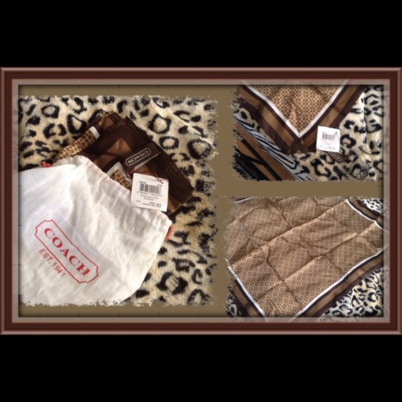 Coach Square Scarf