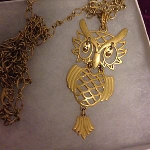 Long Chained, Gold Owl Necklace