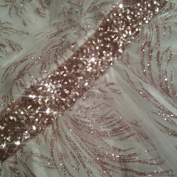 Prom dress or party attire. - Picture 3 of 4