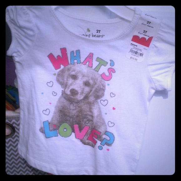 Toddler girls t-shirt
