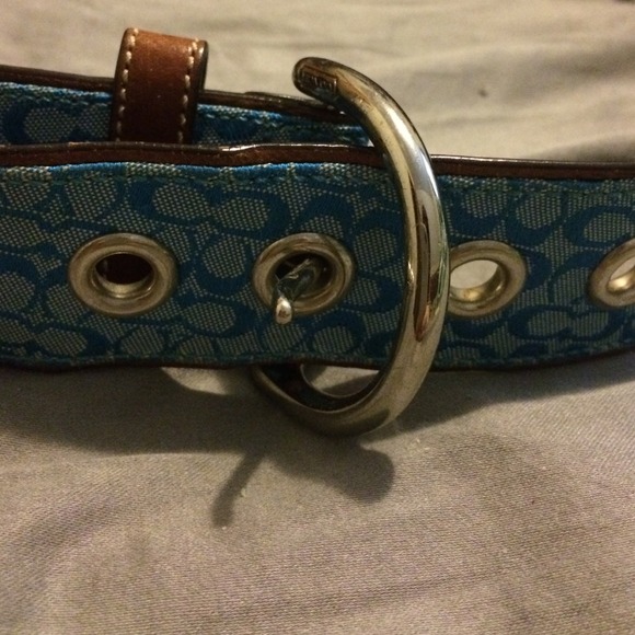 Coach belt