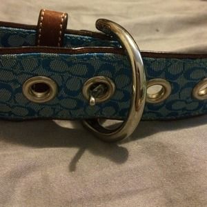 Coach belt