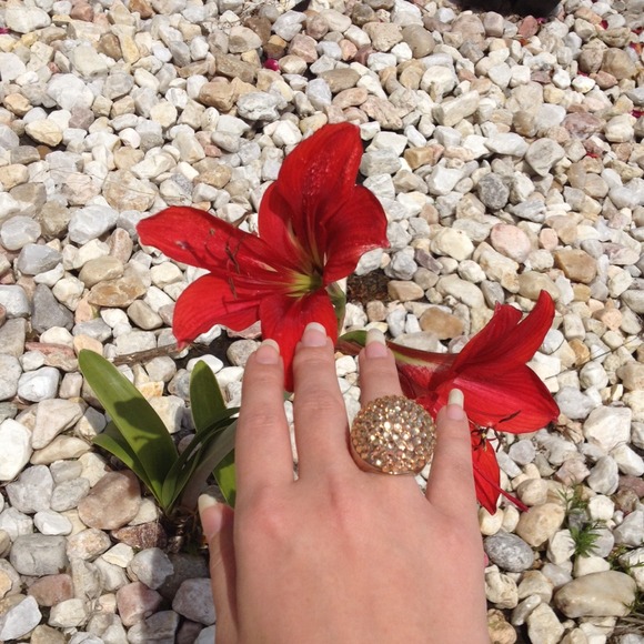 πHost PickπNWT Statement ring - Picture 1 of 3