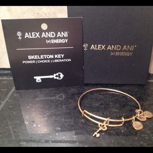 Alex and Ani bracelet