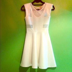 White Mesh Skater Dress