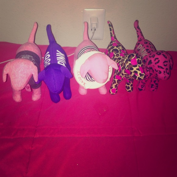 Love Pink dogs.