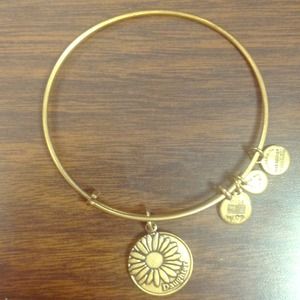 Alex and Ani bangle