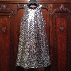 All That Jazz Silver Sparkle Party Dress!