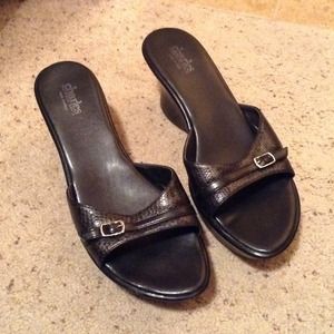 Charles by Charles David leather wedges!