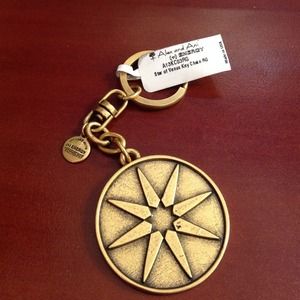 Alex and Ani yellow Energy Key chain