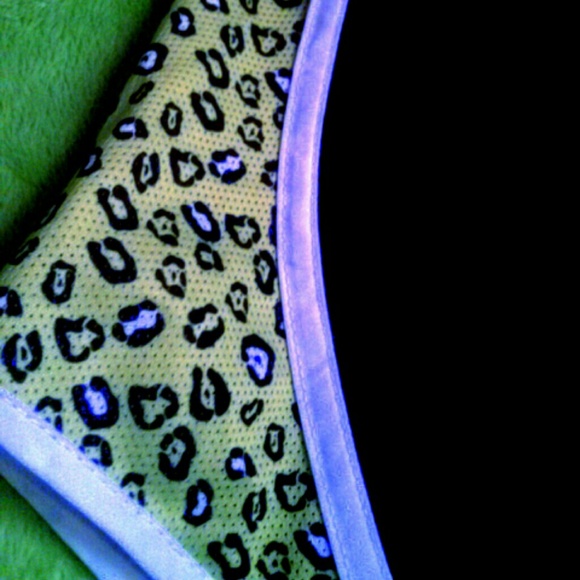 Shorts - Picture 3 of 3